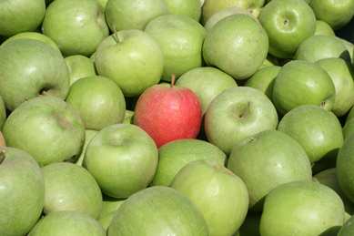 apple4