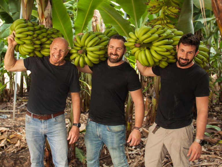 banana1