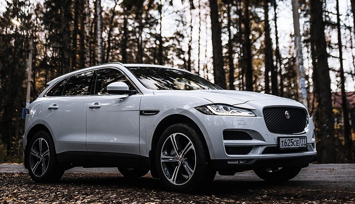 jaguar