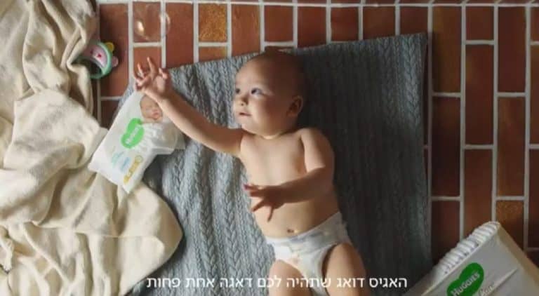 קמפיין האגיס