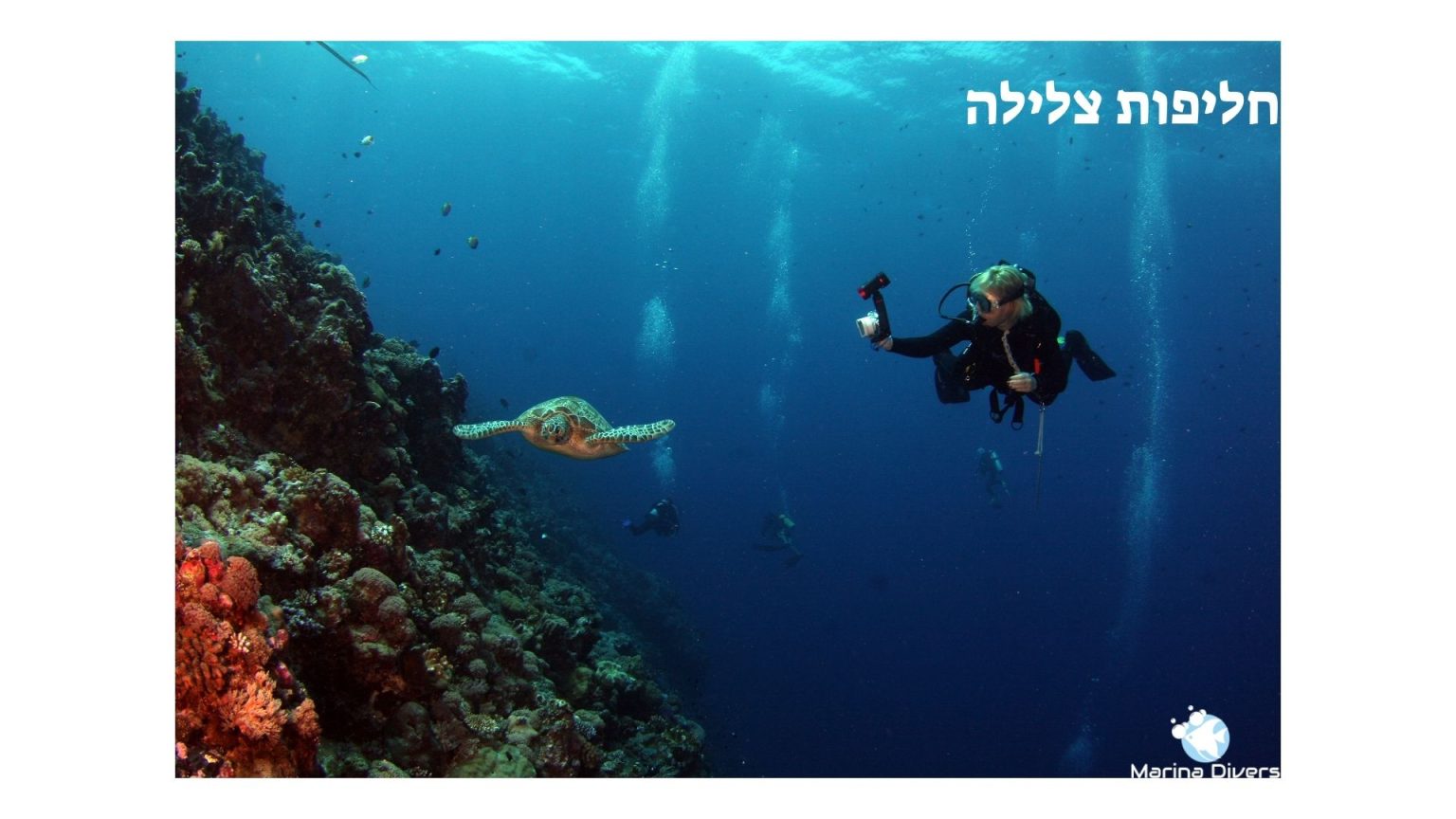 חליפות צלילה