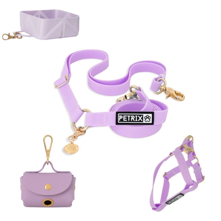 PETRIX הסט המלא רצועה ללא ידיים , רתמה או קולר, תיק לשקיות צרכים וכלי מים במתנה - צילום יחצ (5)