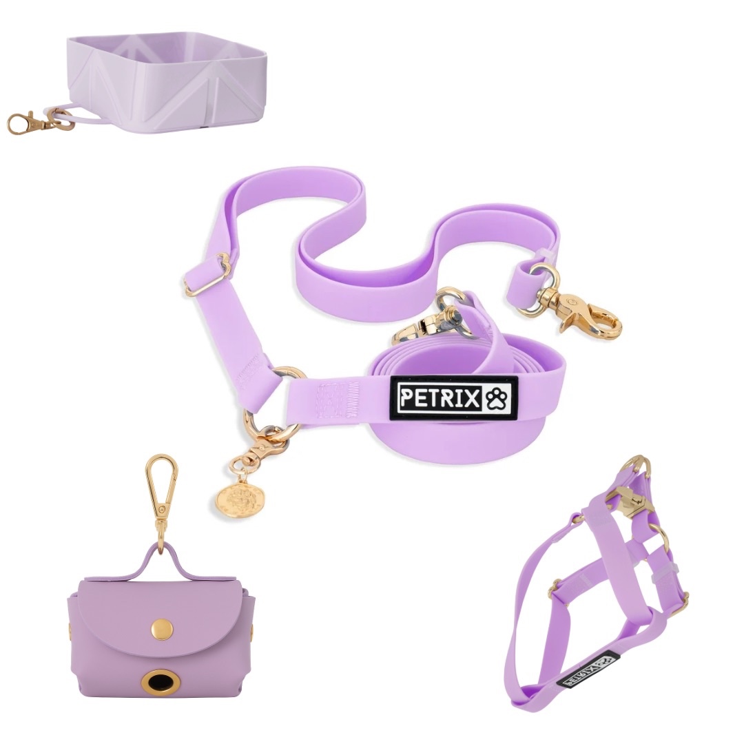 PETRIX הסט המלא רצועה ללא ידיים , רתמה או קולר, תיק לשקיות צרכים וכלי מים במתנה - צילום יחצ (5)