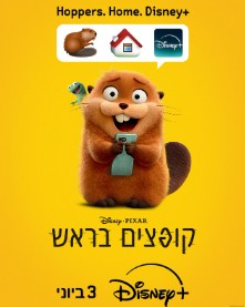 צילום מסך 2026-05-31 154614