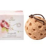 SPONGE romegnanate_15596510_2026