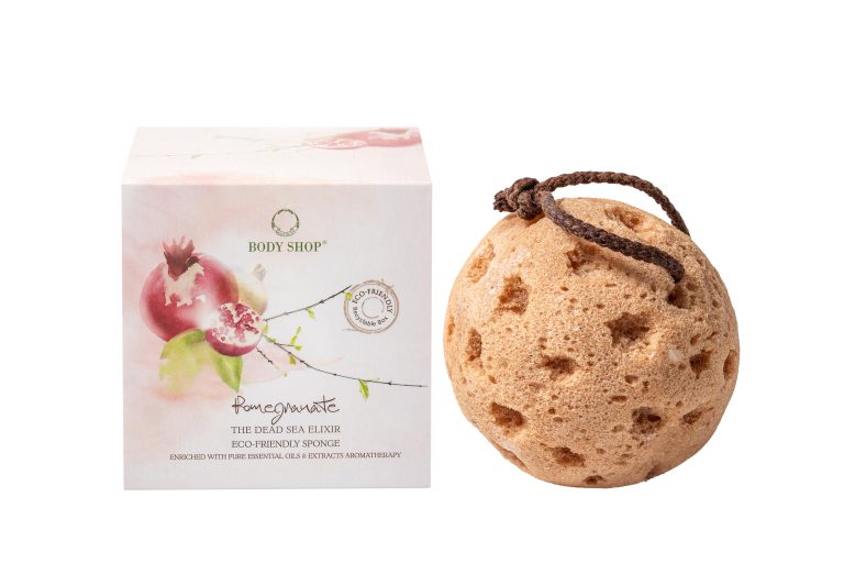 SPONGE romegnanate_15596510_2026